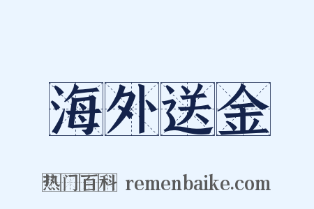 海外送金是什么意思的图片